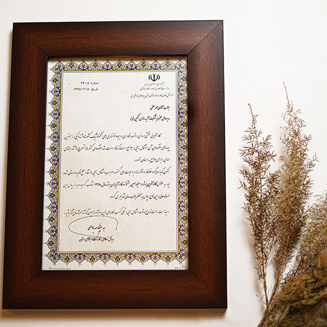 Atiye Sazan Negin Faraz Company Honors