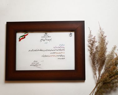 Atiye Sazan Negin Faraz Company Honors