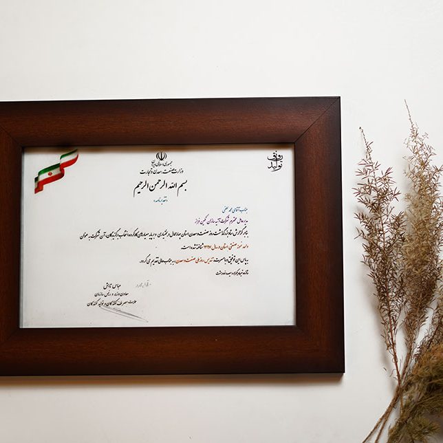 Atiye Sazan Negin Faraz Company Honors