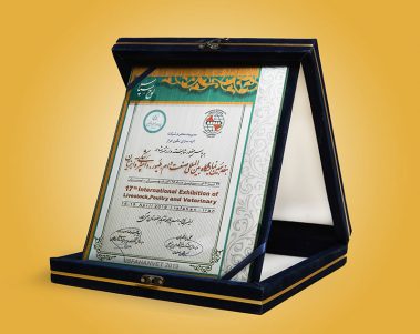 Atiye Sazan Negin Faraz Company Honors