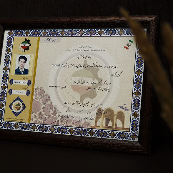 Atiye Sazan Negin Faraz Company Honors