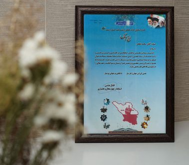 Atiye Sazan Negin Faraz Company Honors