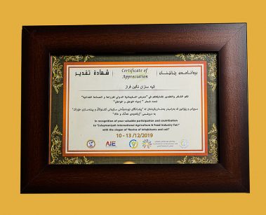 Atiye Sazan Negin Faraz Company Honors