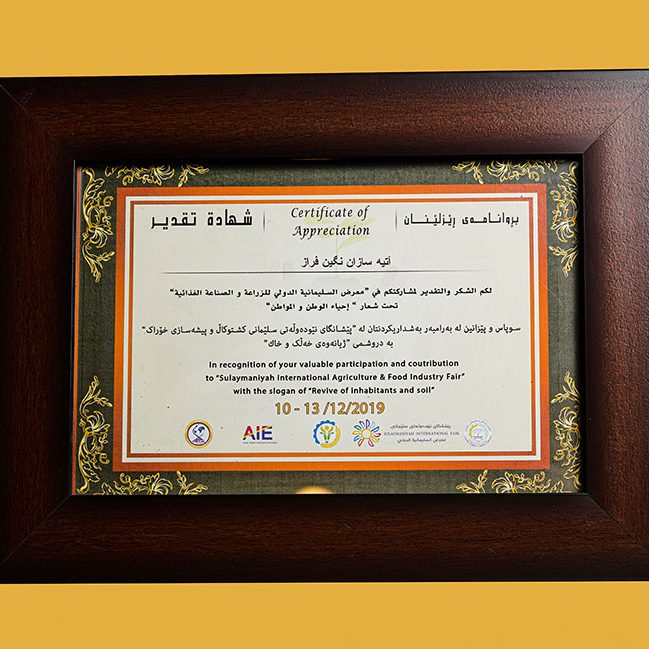 Atiye Sazan Negin Faraz Company Honors