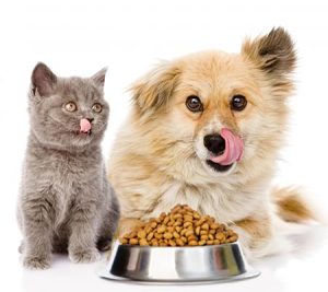 pet food