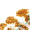 سویا پروتئین مصرف انسانی Design, Manufacturing, Installation, and Commissioning of Soy Protein Production Lines for Human Consumption Using State-of-the-Art Technology